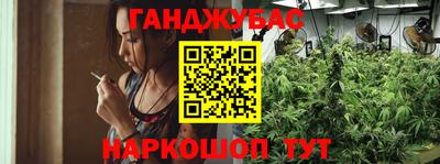 крисы Кингисепп