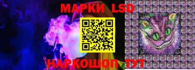 крисы Кингисепп