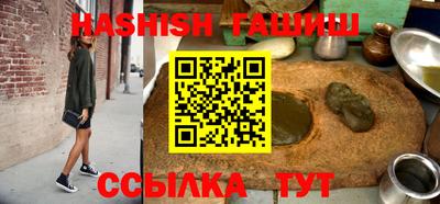 крисы Кингисепп