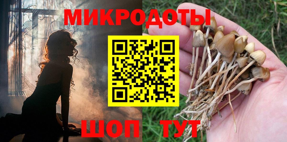 Псилоцибиновые грибы мухоморы Владимир