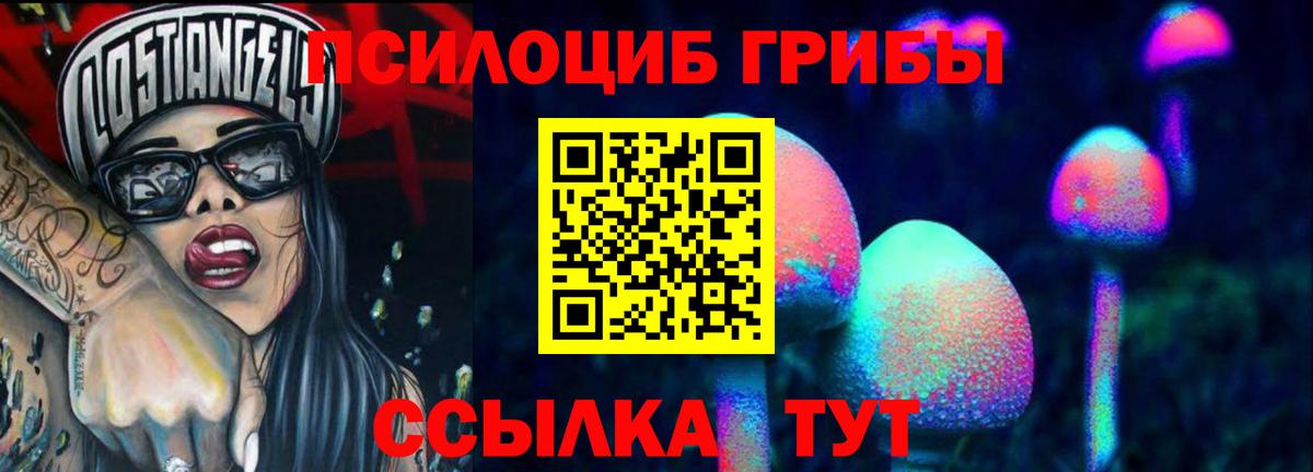 Галлюциногенные грибы Cubensis  Псилоцибиновые грибы мицелий  Вход с VPN  Владимир 
